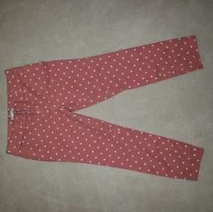 New York & Company pants